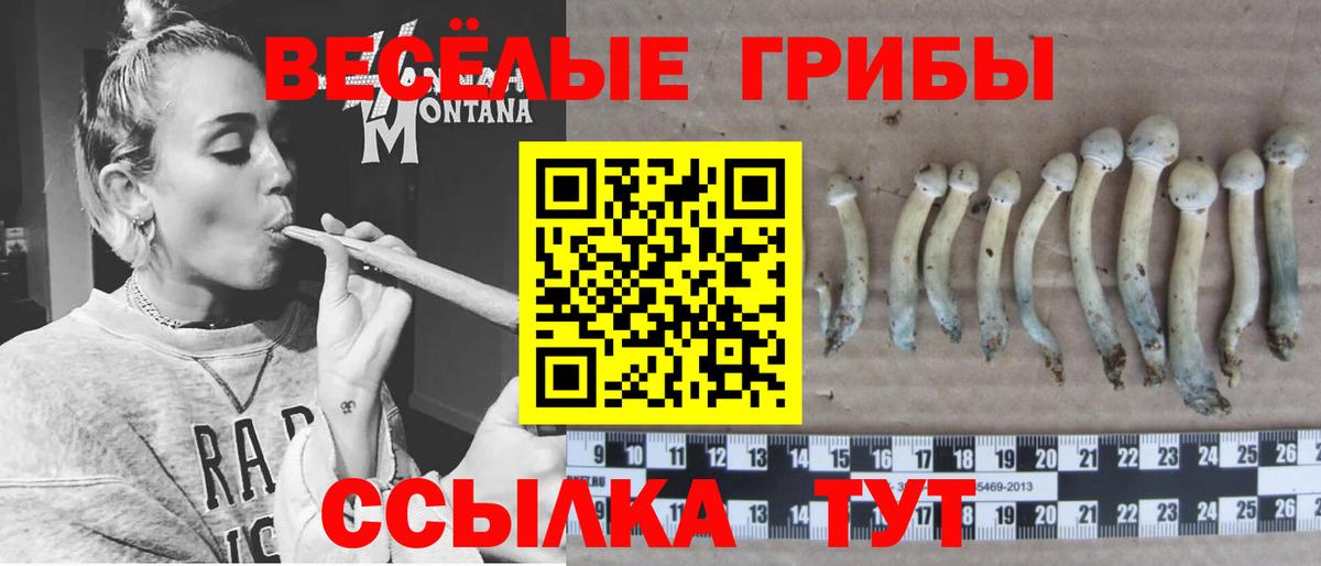 Галлюциногенные грибы Cubensis  Вход с VPN  сколько стоит  Буйнакск 