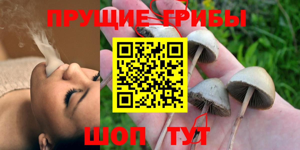 Псилоцибиновые грибы ЛСД Буйнакск